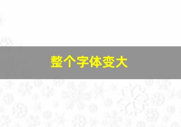 整个字体变大