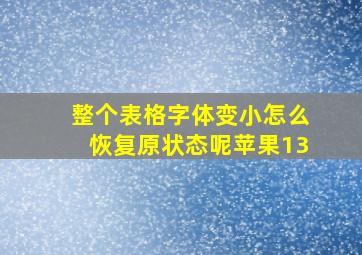 整个表格字体变小怎么恢复原状态呢苹果13