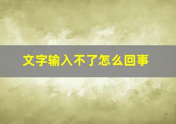 文字输入不了怎么回事