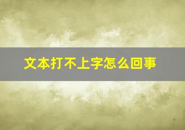 文本打不上字怎么回事