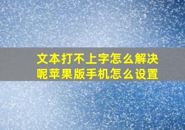 文本打不上字怎么解决呢苹果版手机怎么设置