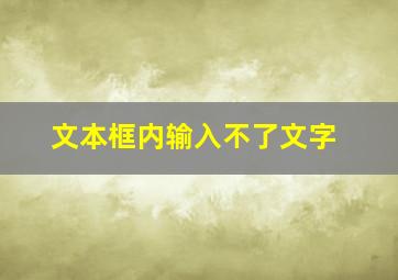 文本框内输入不了文字