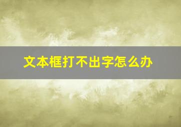 文本框打不出字怎么办