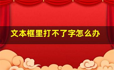 文本框里打不了字怎么办