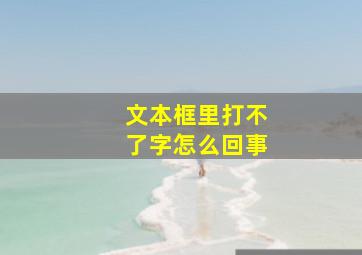 文本框里打不了字怎么回事