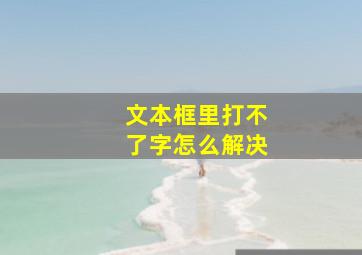 文本框里打不了字怎么解决