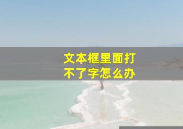 文本框里面打不了字怎么办