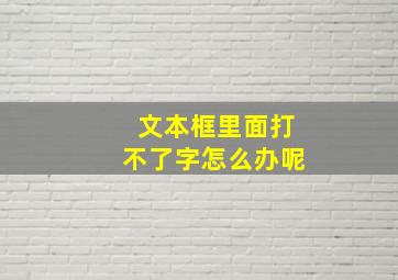 文本框里面打不了字怎么办呢