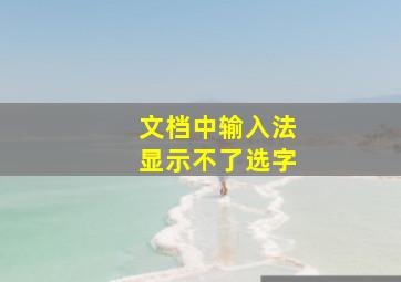 文档中输入法显示不了选字