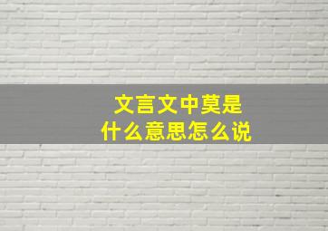 文言文中莫是什么意思怎么说