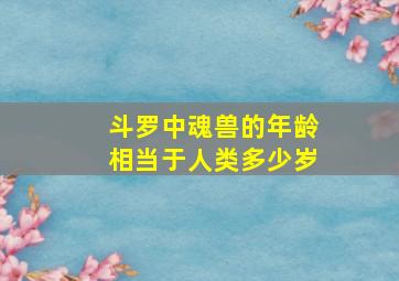 斗罗中魂兽的年龄相当于人类多少岁