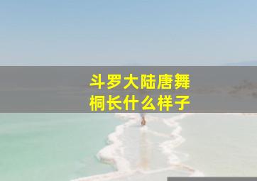 斗罗大陆唐舞桐长什么样子