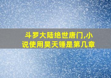 斗罗大陆绝世唐门,小说使用昊天锤是第几章