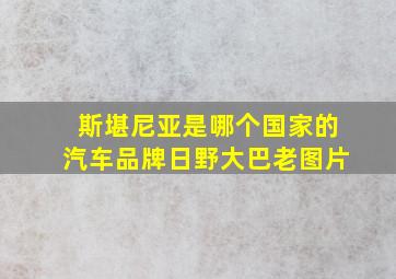 斯堪尼亚是哪个国家的汽车品牌日野大巴老图片