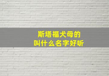 斯塔福犬母的叫什么名字好听