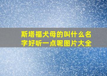 斯塔福犬母的叫什么名字好听一点呢图片大全