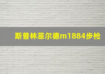 斯普林菲尔德m1884步枪