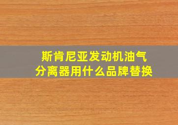 斯肯尼亚发动机油气分离器用什么品牌替换