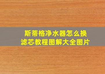 斯蒂格净水器怎么换滤芯教程图解大全图片