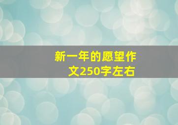 新一年的愿望作文250字左右