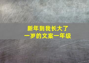 新年到我长大了一岁的文案一年级