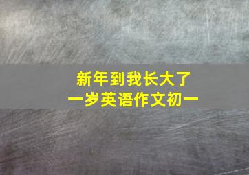 新年到我长大了一岁英语作文初一