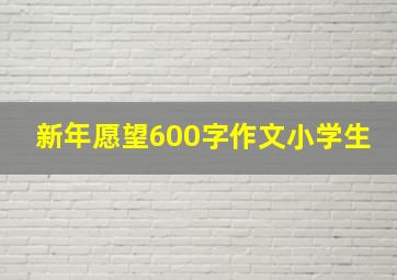 新年愿望600字作文小学生