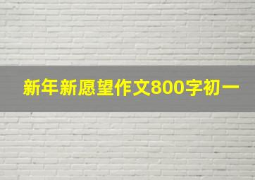 新年新愿望作文800字初一