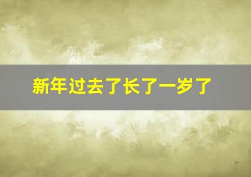 新年过去了长了一岁了