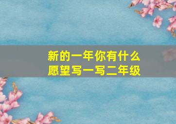 新的一年你有什么愿望写一写二年级