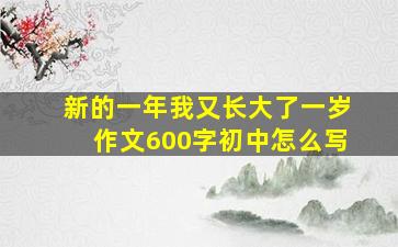 新的一年我又长大了一岁作文600字初中怎么写