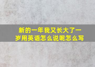 新的一年我又长大了一岁用英语怎么说呢怎么写