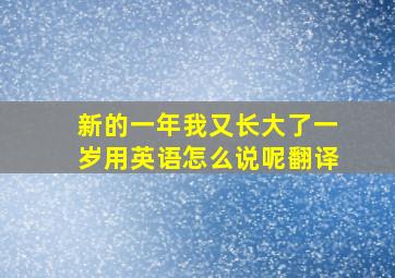 新的一年我又长大了一岁用英语怎么说呢翻译