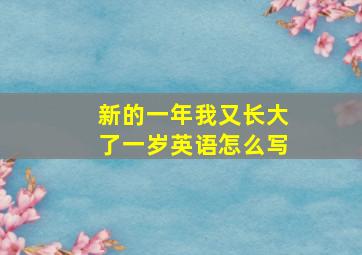 新的一年我又长大了一岁英语怎么写