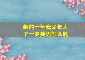 新的一年我又长大了一岁英语怎么说