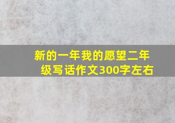 新的一年我的愿望二年级写话作文300字左右