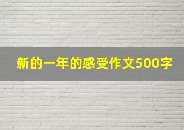 新的一年的感受作文500字