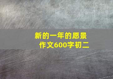 新的一年的愿景作文600字初二