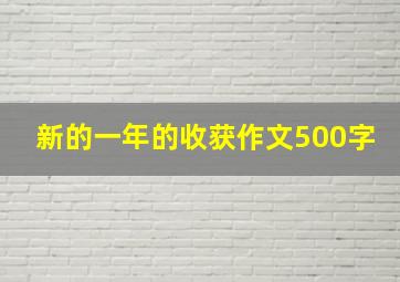 新的一年的收获作文500字