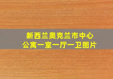 新西兰奥克兰市中心公寓一室一厅一卫图片