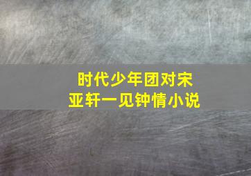 时代少年团对宋亚轩一见钟情小说