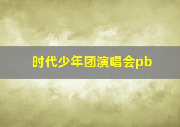 时代少年团演唱会pb