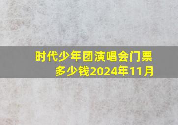 时代少年团演唱会门票多少钱2024年11月