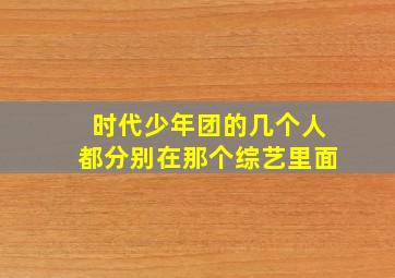 时代少年团的几个人都分别在那个综艺里面