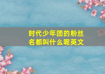 时代少年团的粉丝名都叫什么呢英文