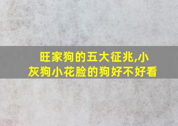 旺家狗的五大征兆,小灰狗小花脸的狗好不好看