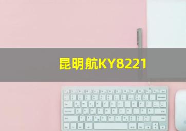 昆明航KY8221