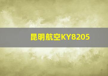 昆明航空KY8205