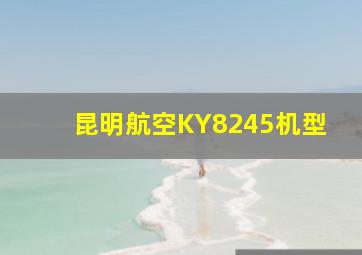 昆明航空KY8245机型