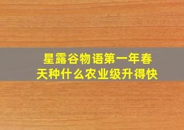 星露谷物语第一年春天种什么农业级升得快